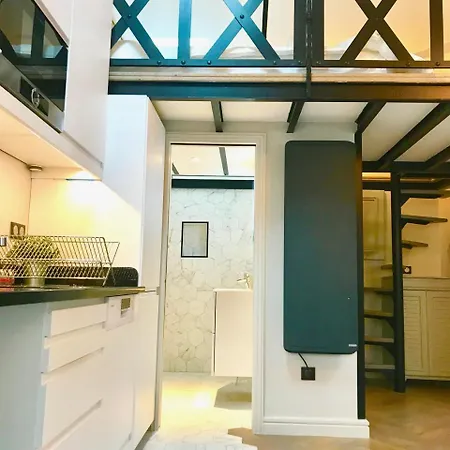 Duplex Artist Studio Converted Into A Loft Apartment *